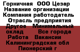 Горничная. ООО Цезар › Название организации ­ Компания-работодатель › Отрасль предприятия ­ Другое › Минимальный оклад ­ 1 - Все города Работа » Вакансии   . Калининградская обл.,Пионерский г.